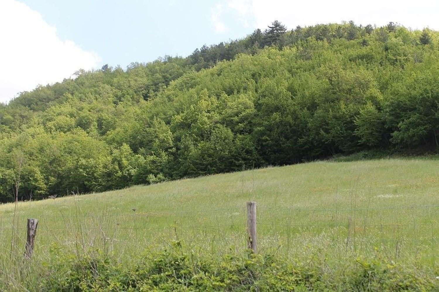 Villa in vendita in via della fontana 14, Palazzuolo sul Senio