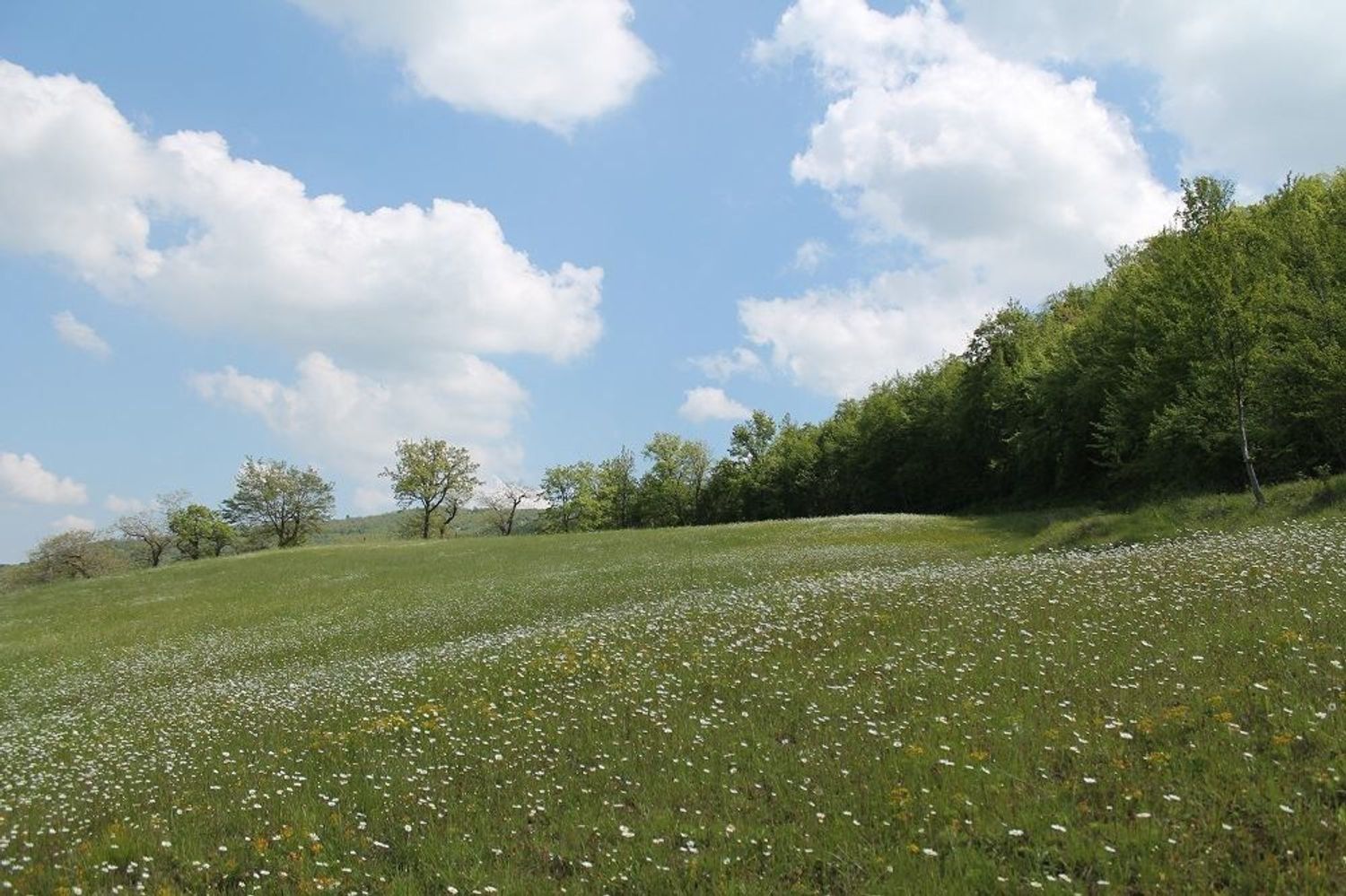 Villa in vendita in via della fontana 14, Palazzuolo sul Senio