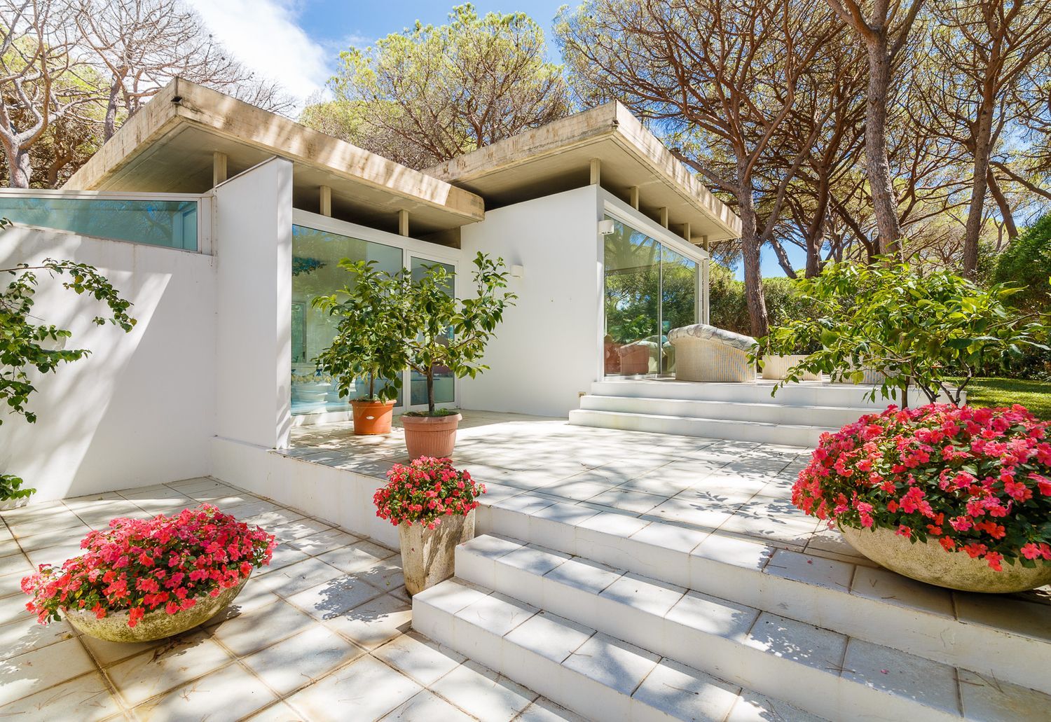 Villa in affitto in roccamare 0, Castiglione della Pescaia