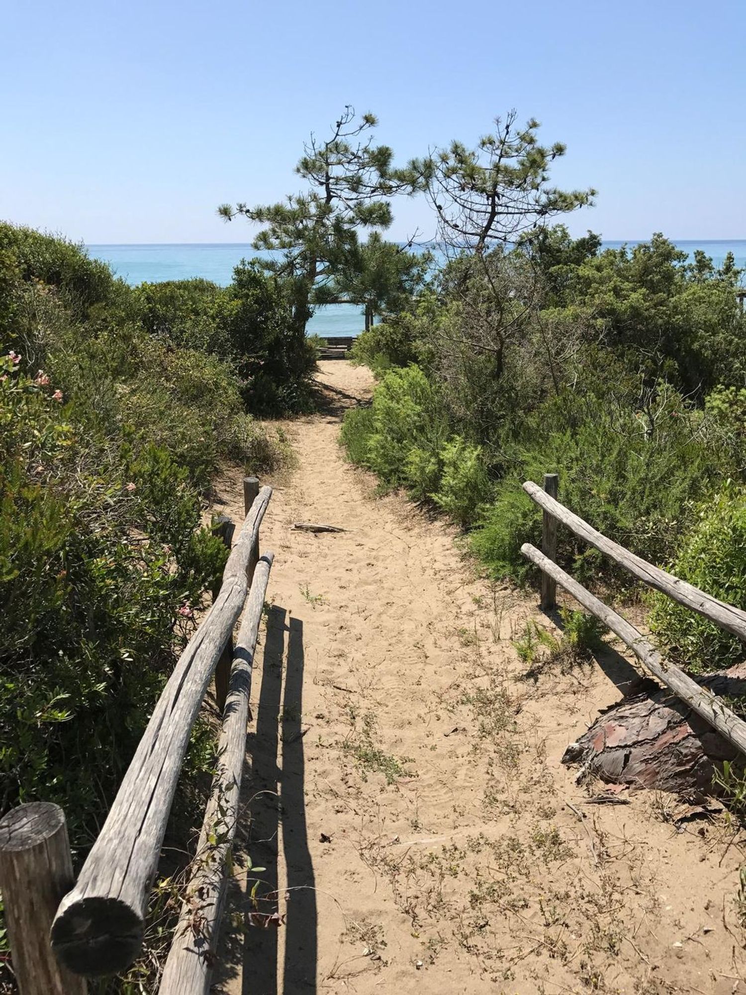 Villa in affitto in roccamare 0, Castiglione della Pescaia