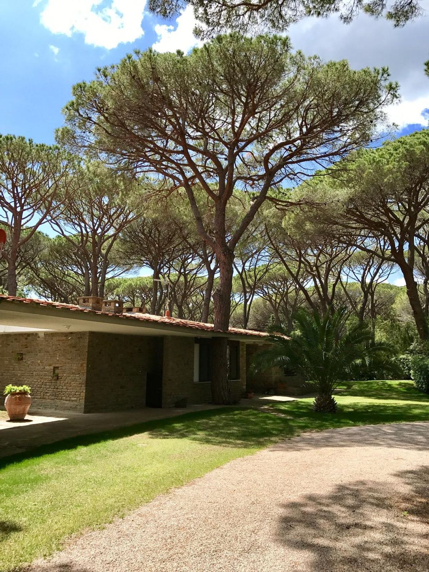 Villa in affitto in roccamare 0, Castiglione della Pescaia