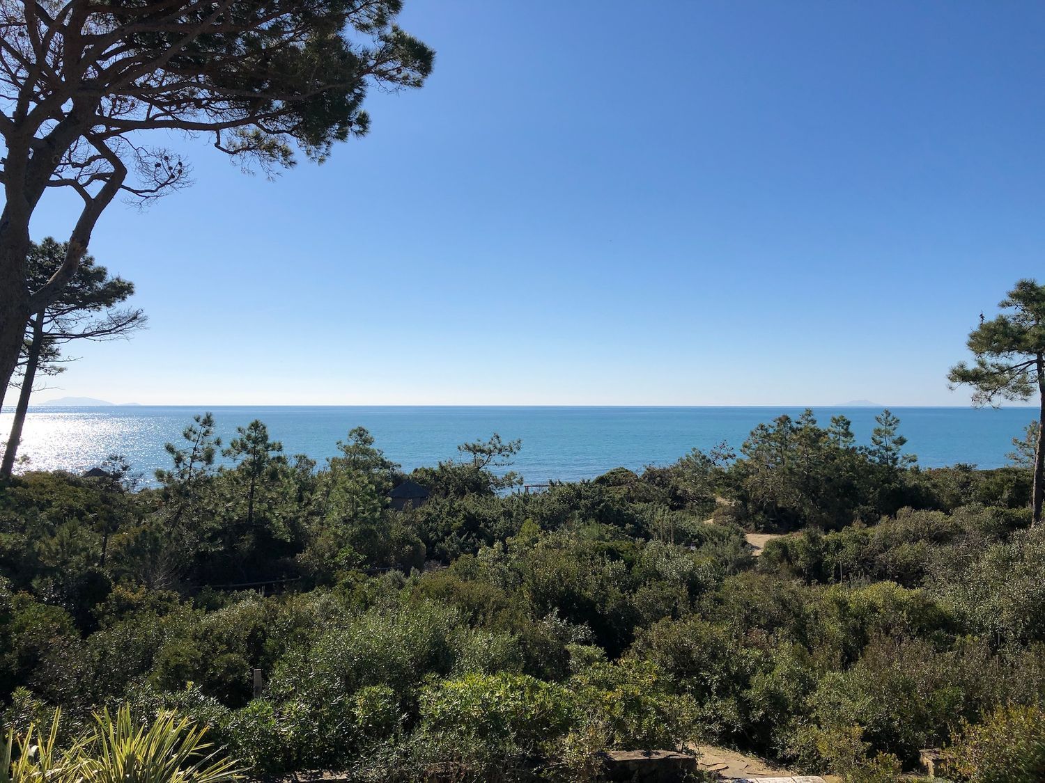 Villa in vendita in roccamare 0, Castiglione della Pescaia