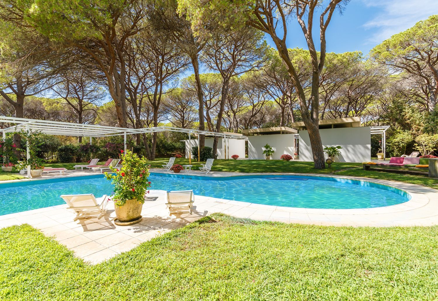 Villa in vendita in roccamare 0, Castiglione della Pescaia