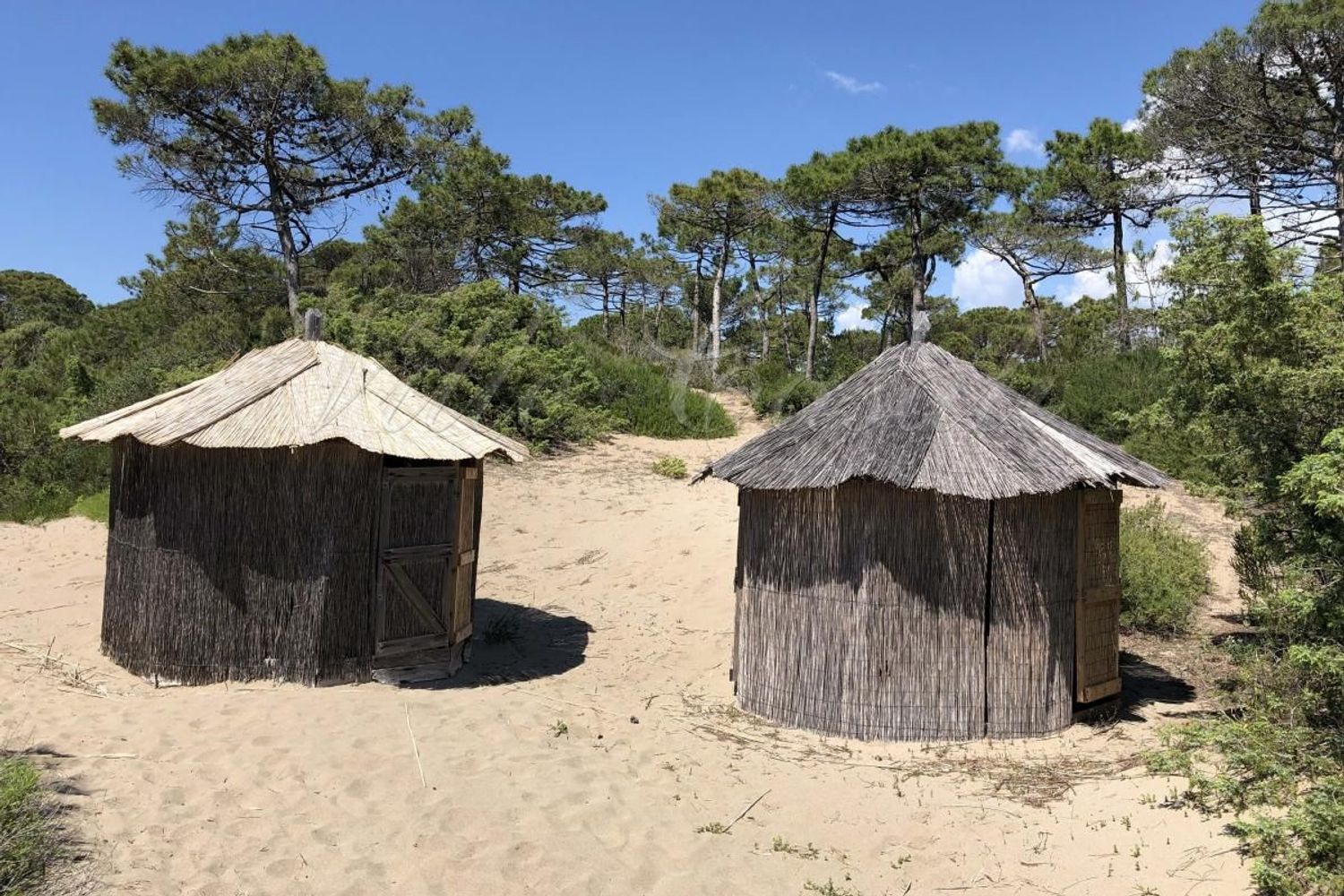 Villa in vendita in localit� roccamare 0, Castiglione della Pescaia