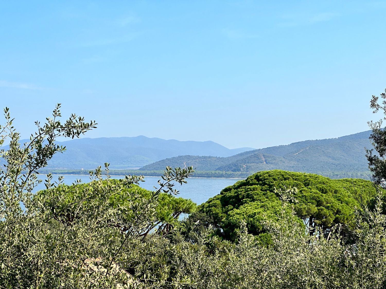 Villa vista mare in strada provinciale punta ala 3, Castiglione della Pescaia