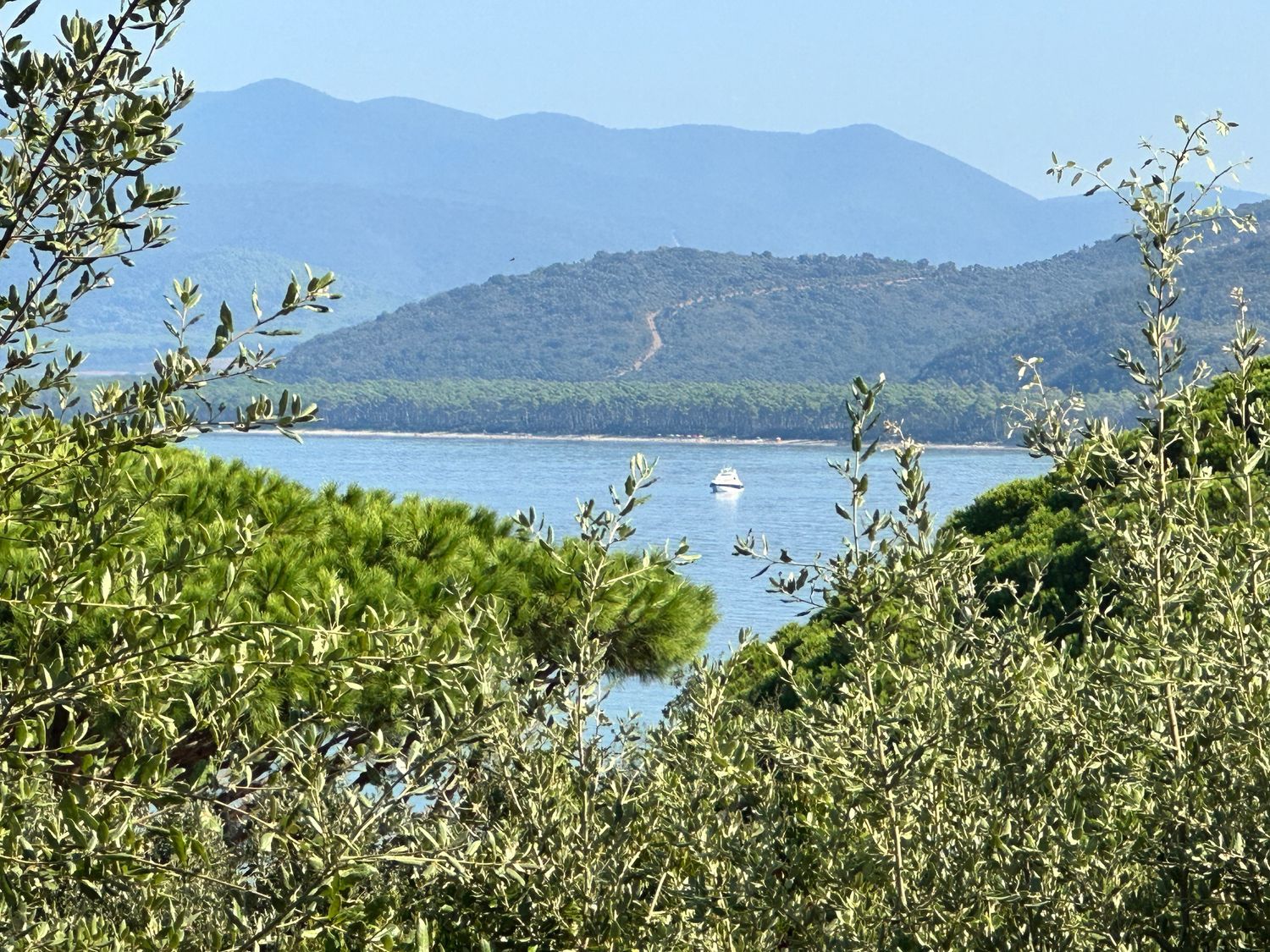 Villa vista mare in strada provinciale punta ala 3, Castiglione della Pescaia