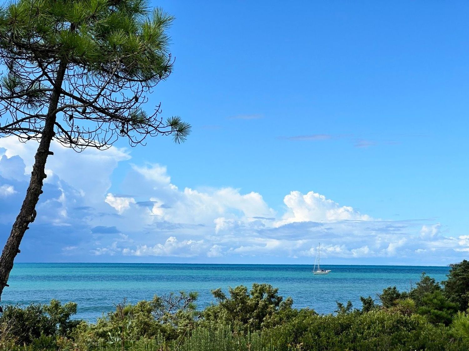 Villa in affitto in strada statale 20 0, Castiglione della Pescaia