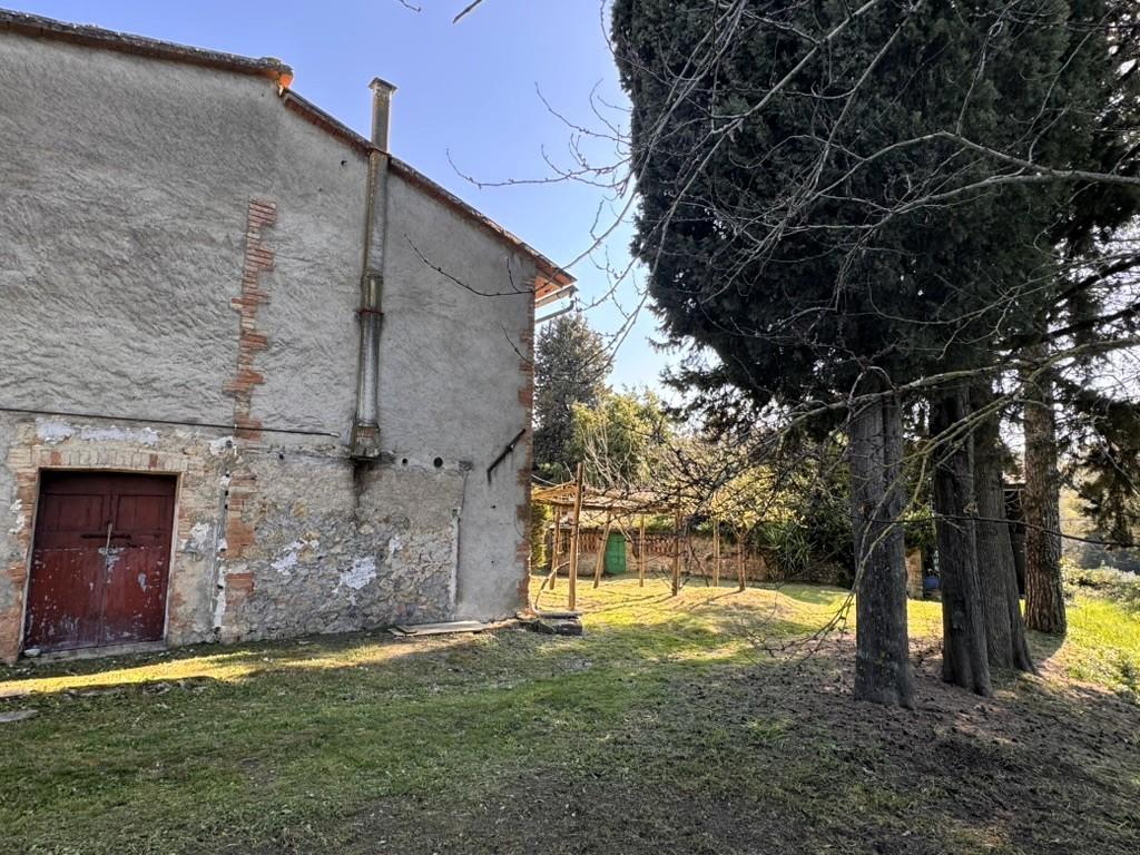 Casa indipendente con giardino, Casole d'Elsa cavallano