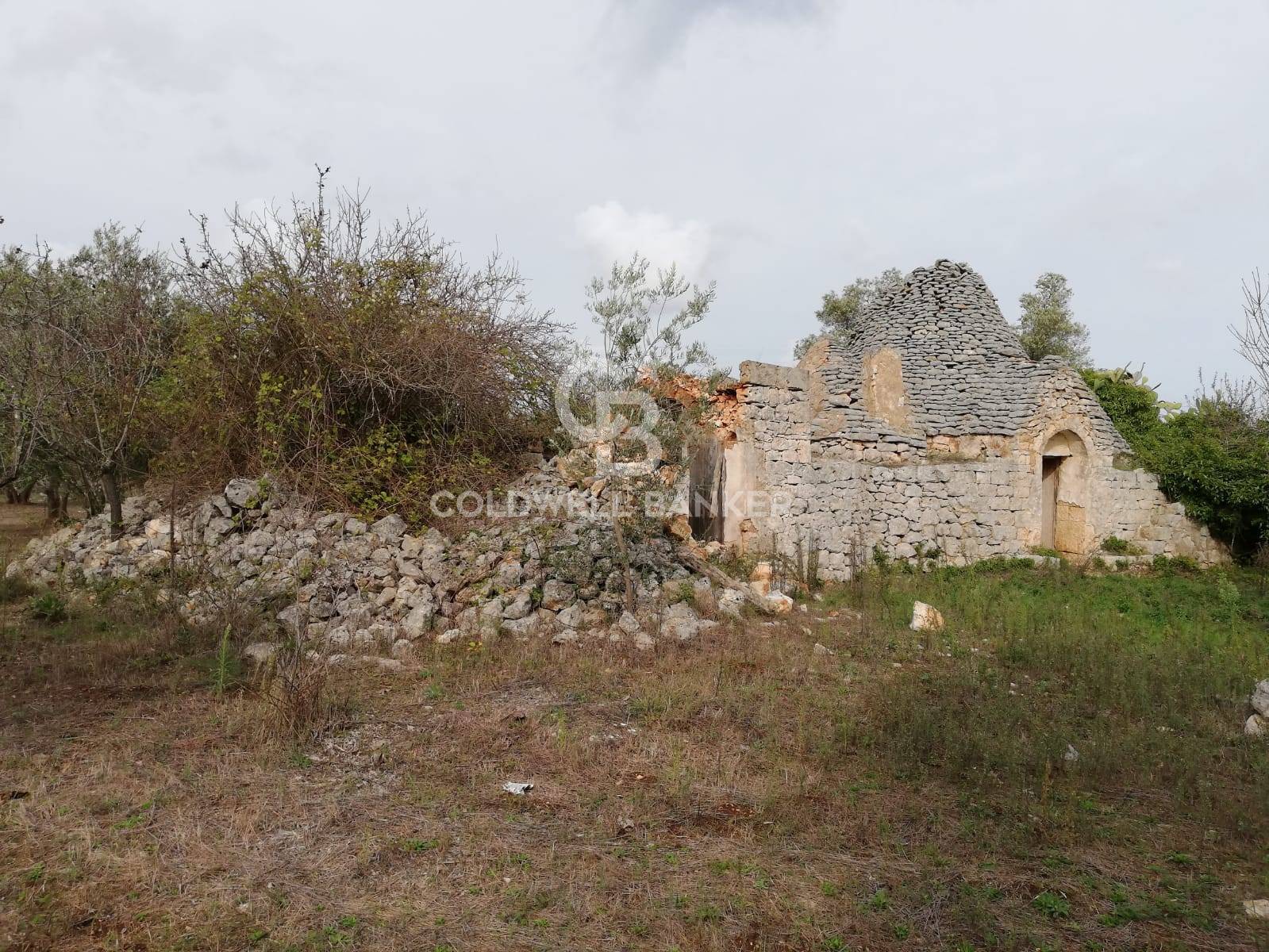 Trullo in vendita a San Michele Salentino