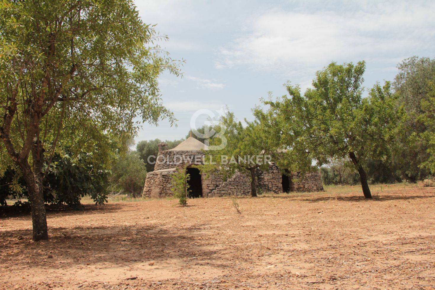 Trullo in vendita a San Vito dei Normanni