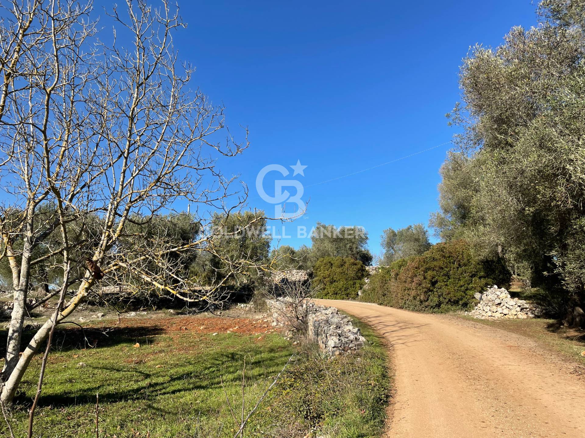 Trullo in vendita a Ceglie Messapica