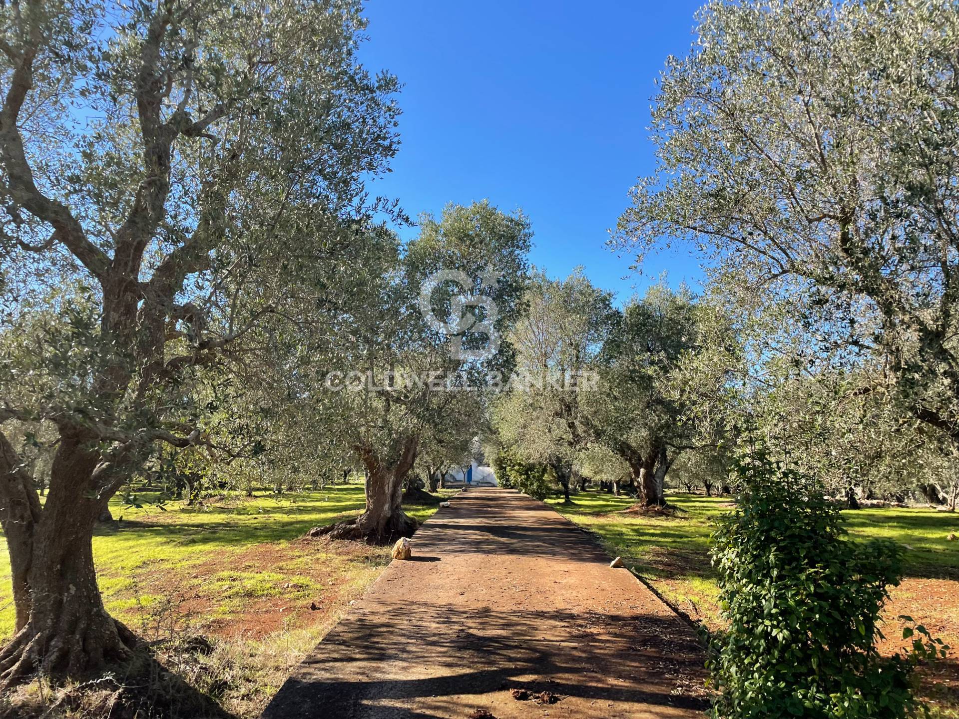 Trullo in vendita a Ceglie Messapica