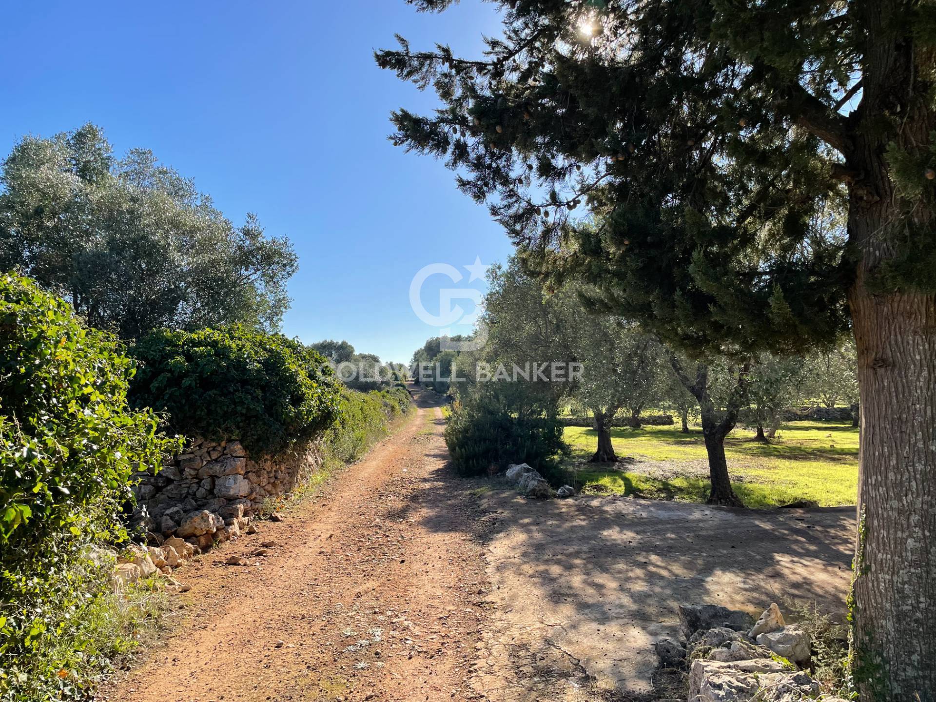 Trullo in vendita a Ceglie Messapica