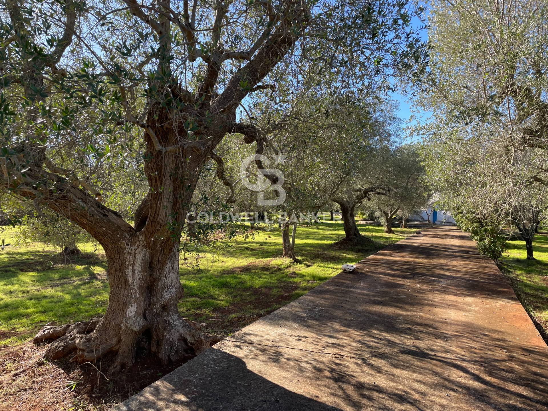 Trullo in vendita a Ceglie Messapica