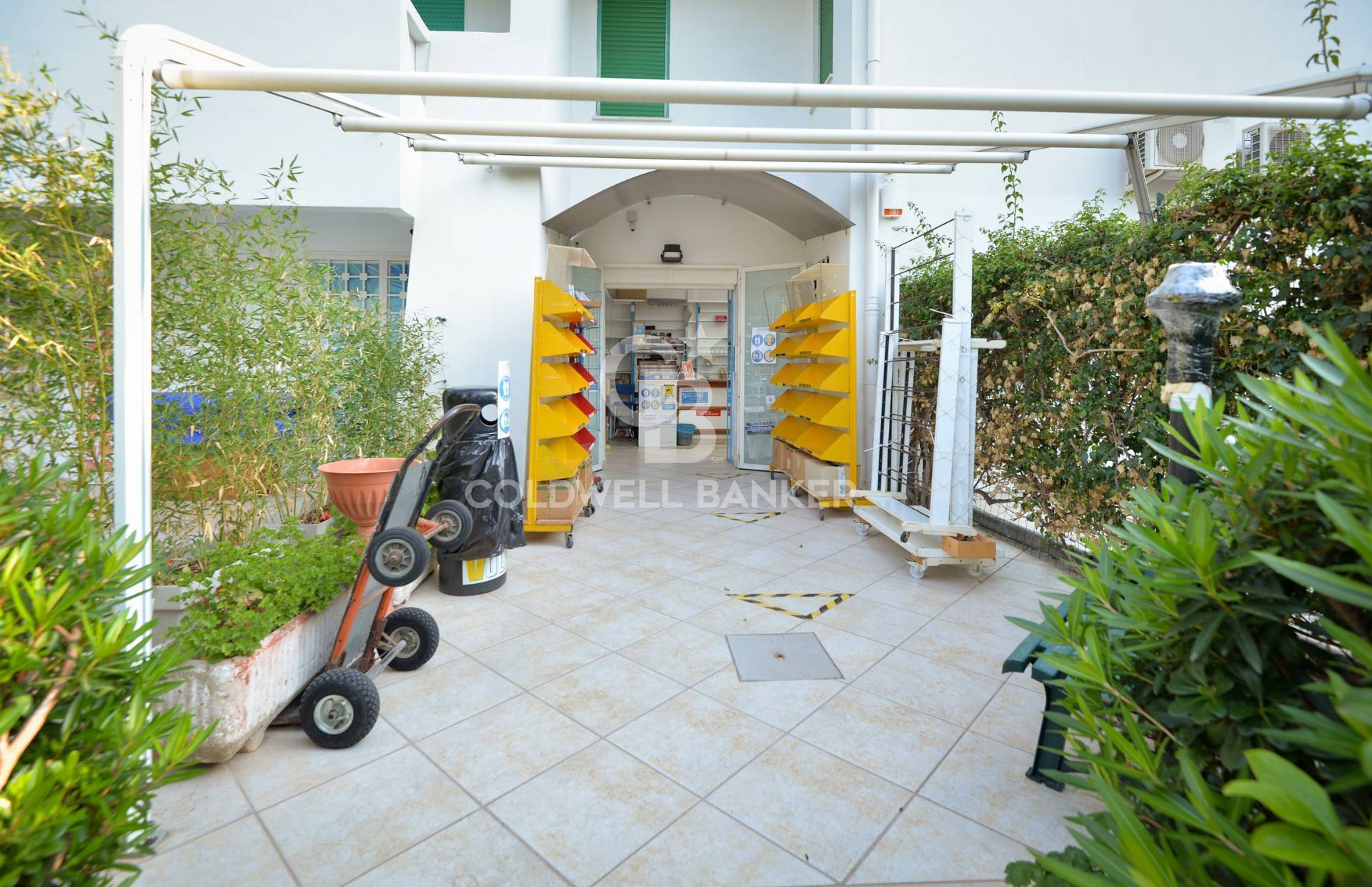 Attivit commerciale in vendita a Ostuni