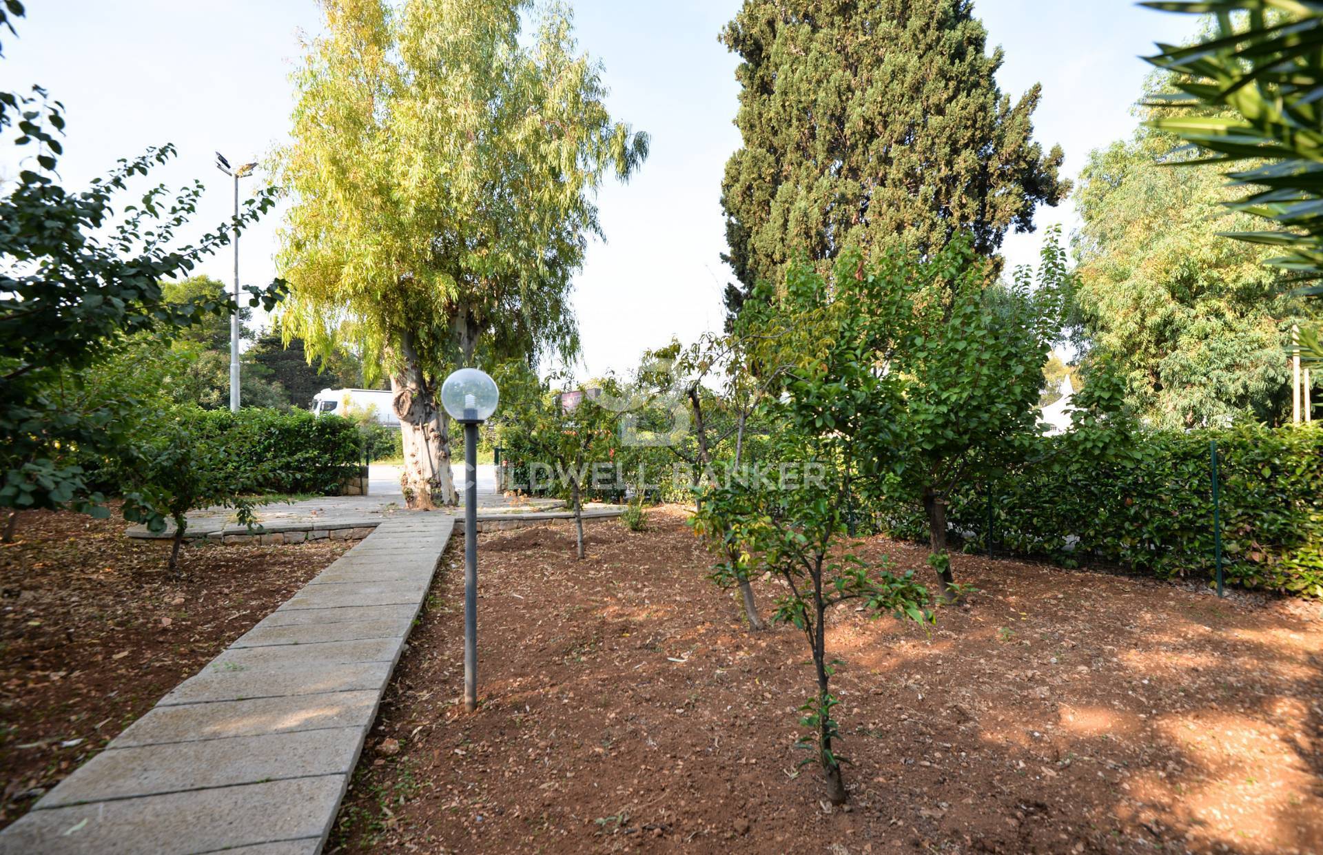 Attivit commerciale in vendita a Ostuni