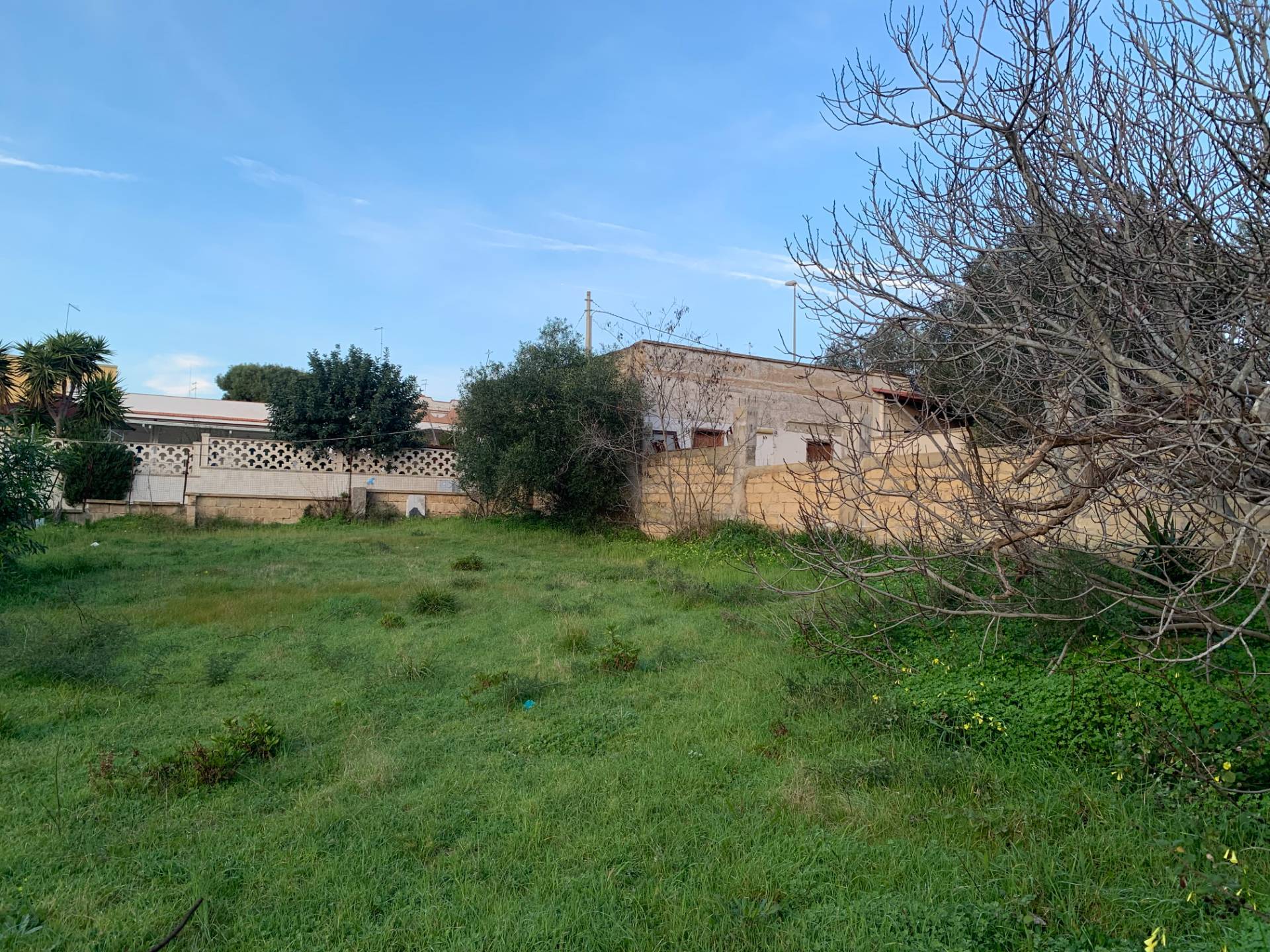 immagine annuncio 2 di 6