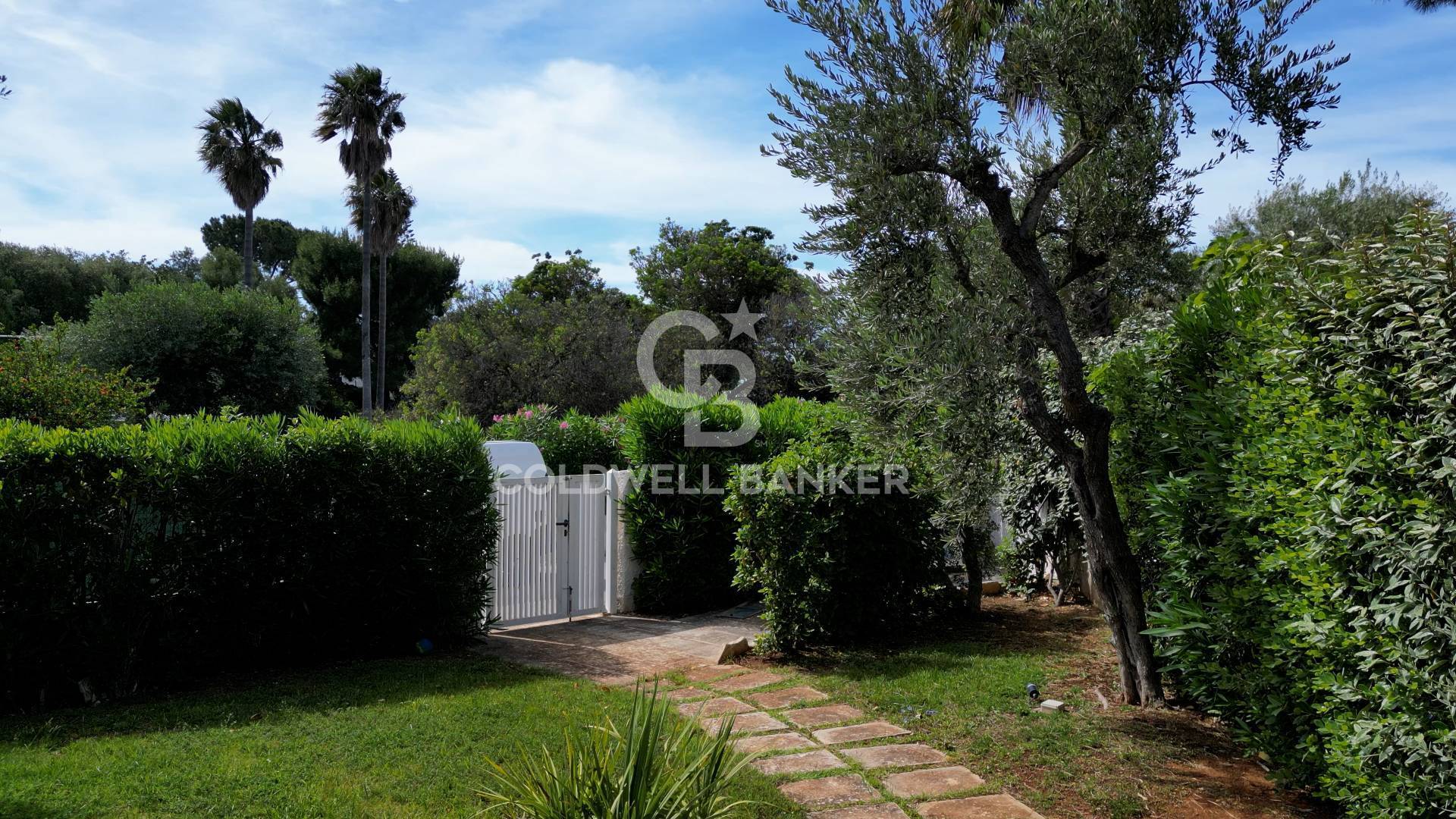 Bifamiliare in affitto a Ostuni