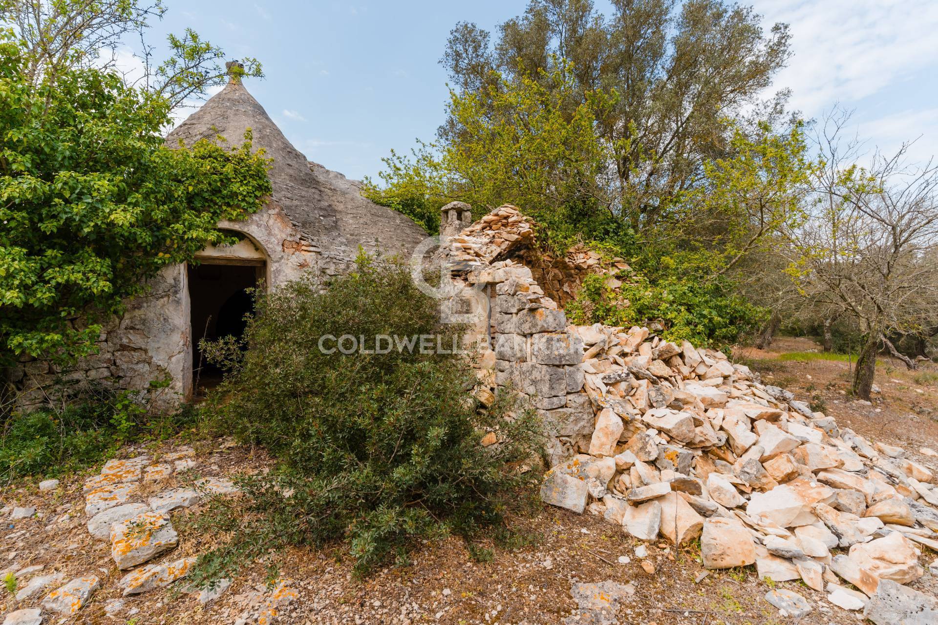 Trullo in vendita a Martina Franca