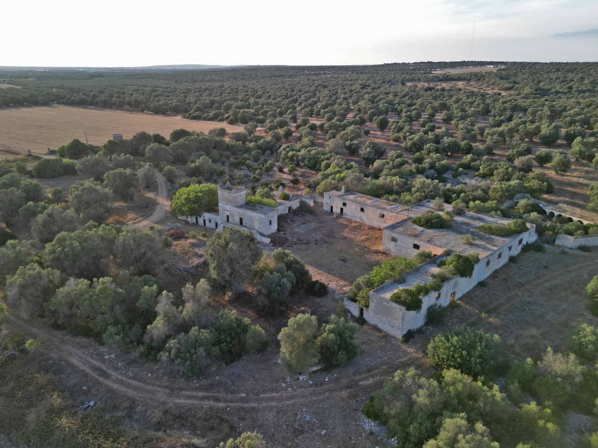 Masseria in vendita a Torricella