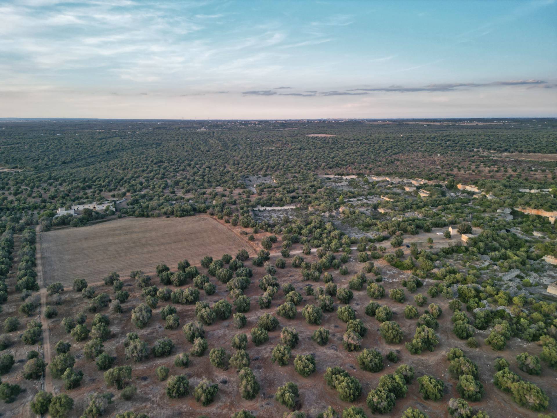 Masseria in vendita a Torricella