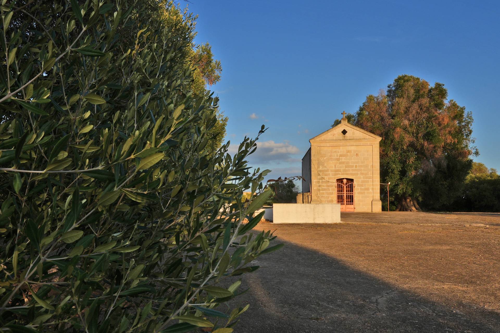 Masseria in vendita a Torricella