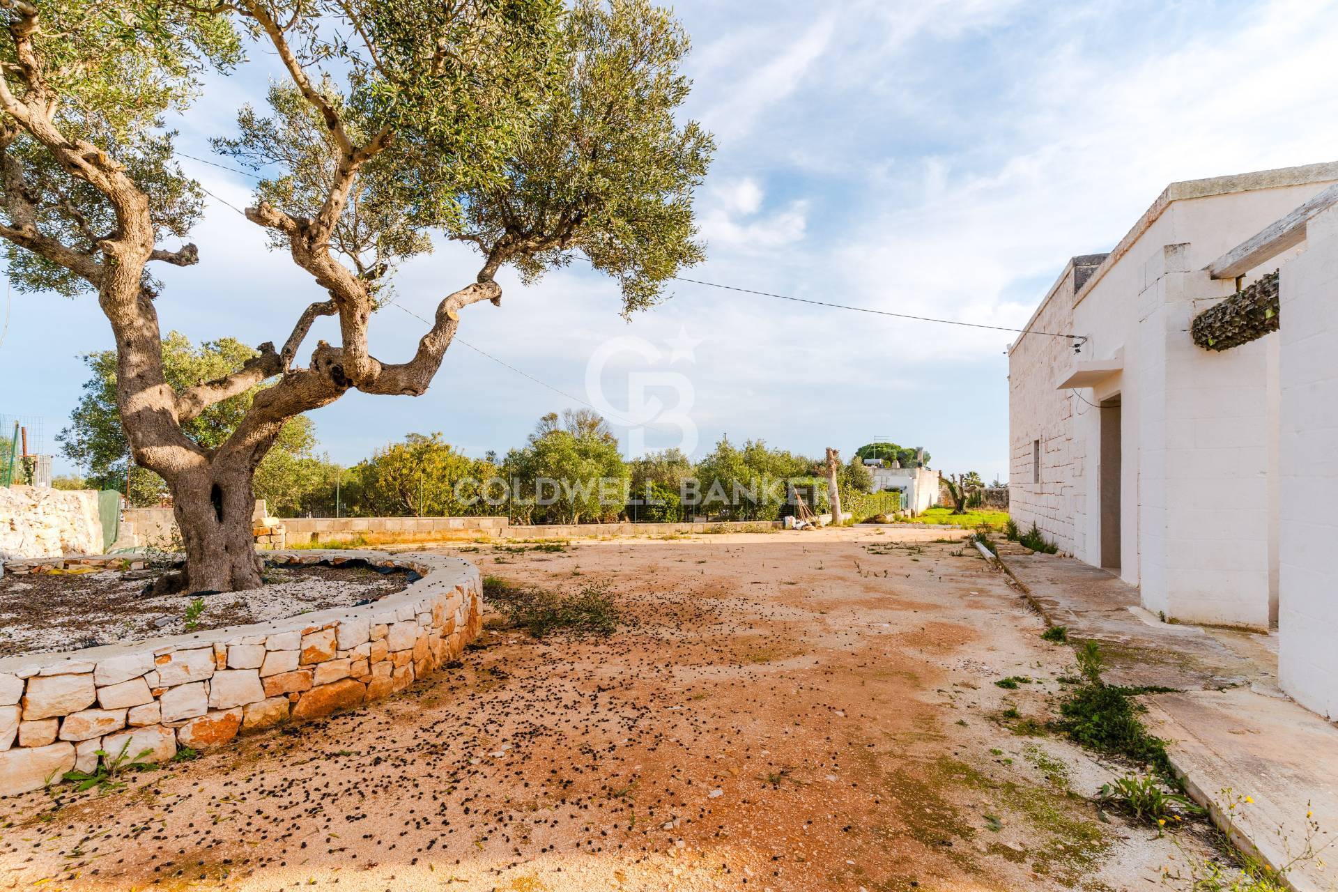 Rustico/Casale/Corte in vendita a Ostuni