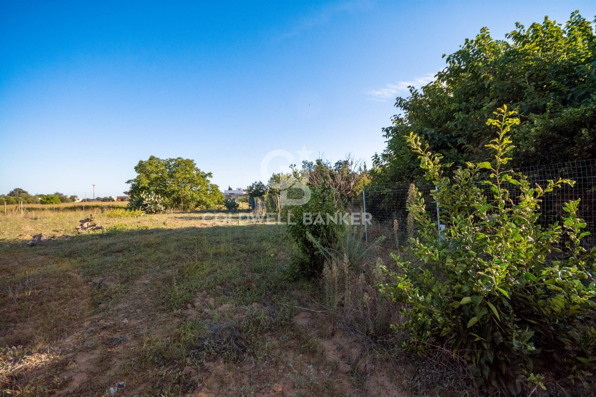 Terreno Edificabile in vendita a Mesagne