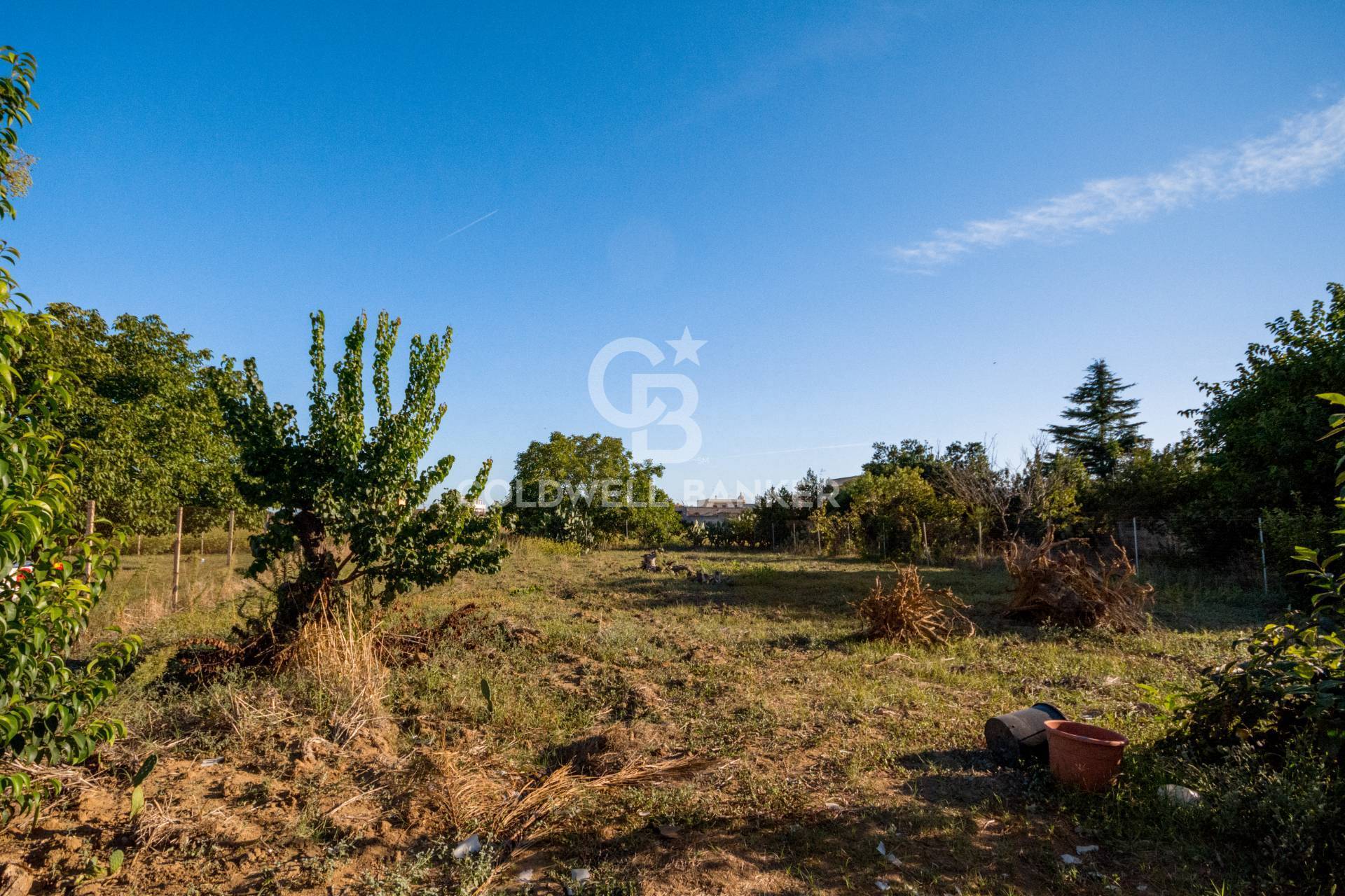 Terreno Edificabile in vendita a Mesagne