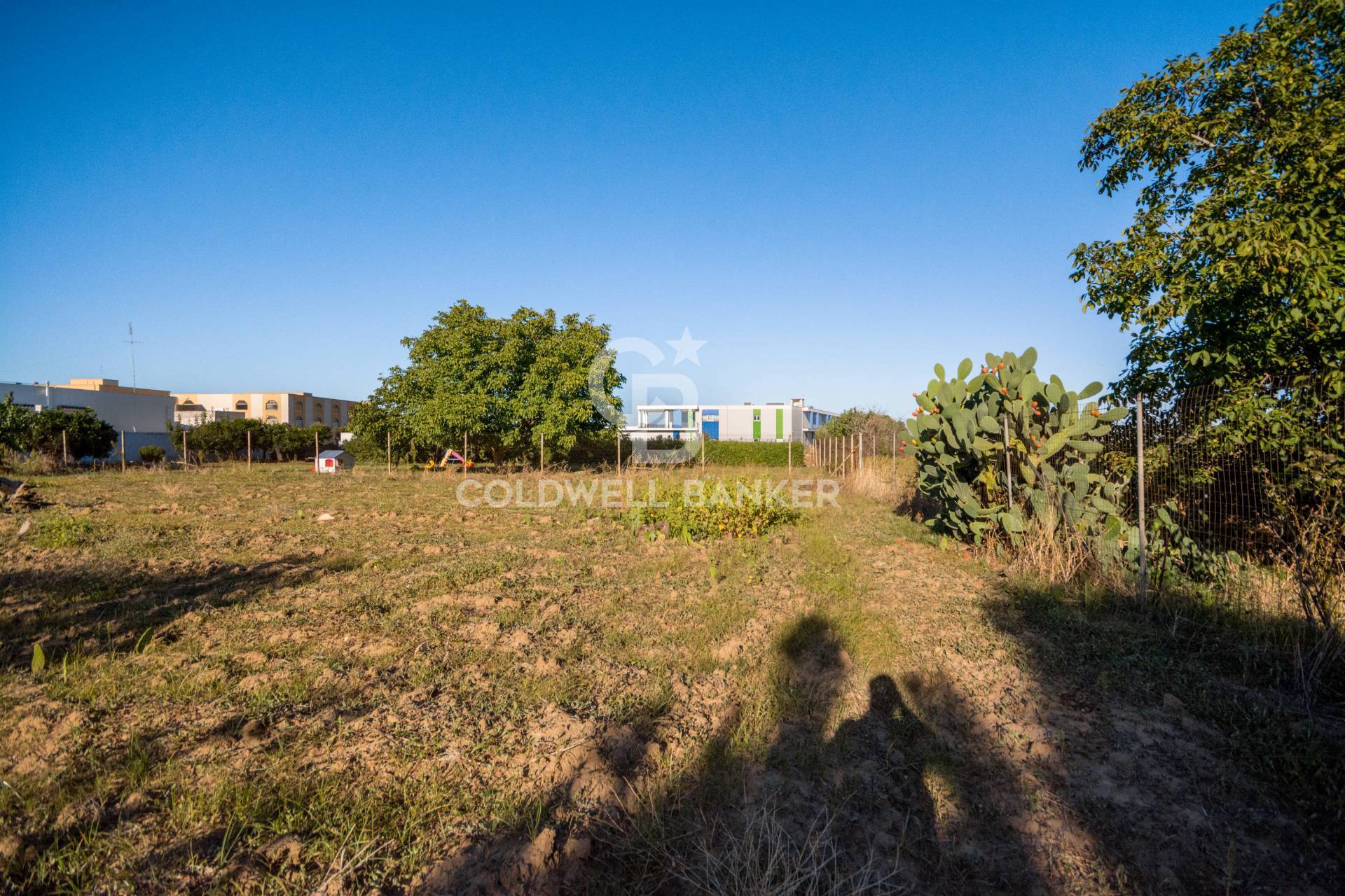 Terreno Edificabile in vendita a Mesagne