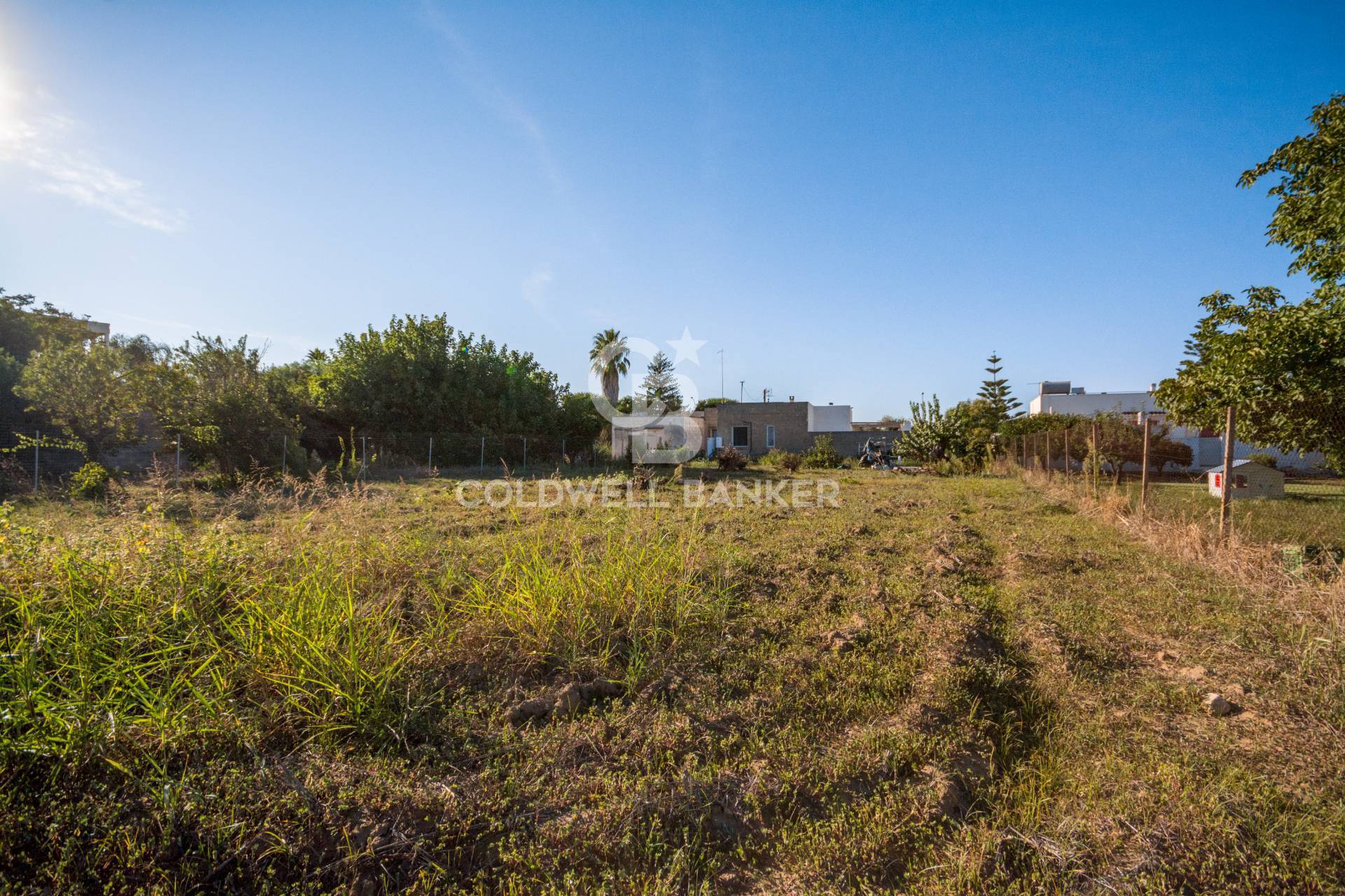 Terreno Edificabile in vendita a Mesagne