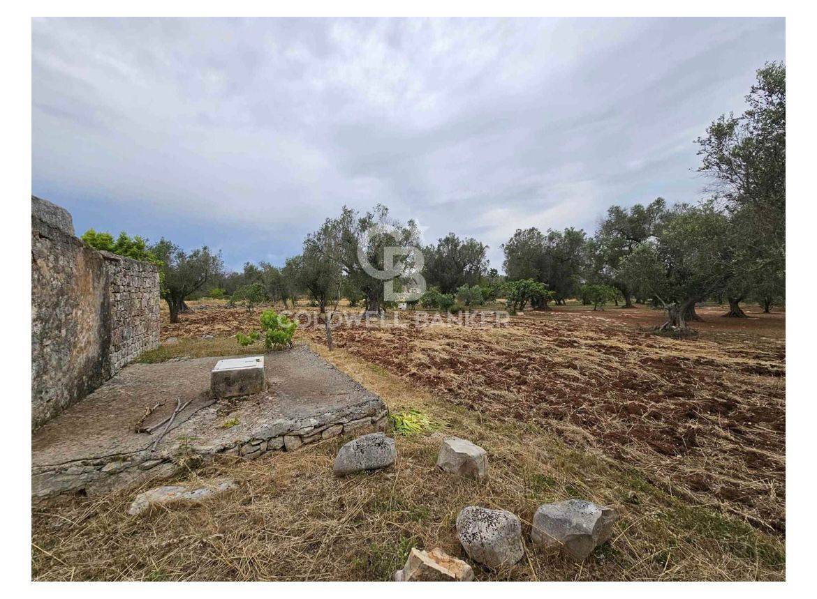 Rustico/Casale/Corte in vendita a Latiano