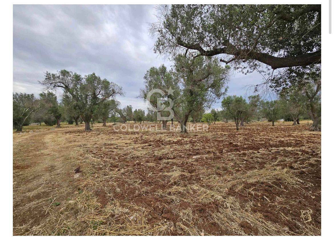 Rustico/Casale/Corte in vendita a Latiano