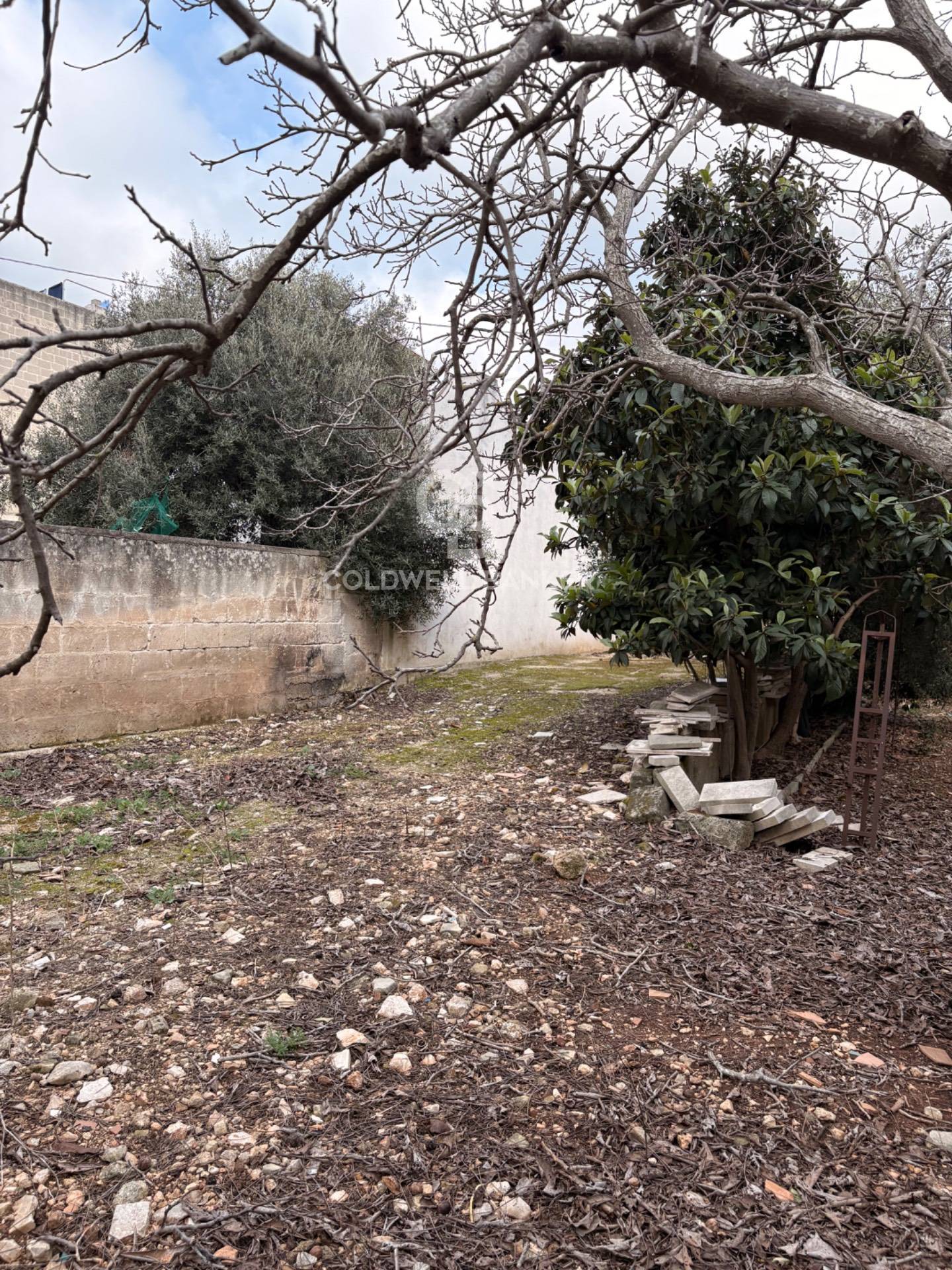 Terreno Edificabile in vendita a Carovigno