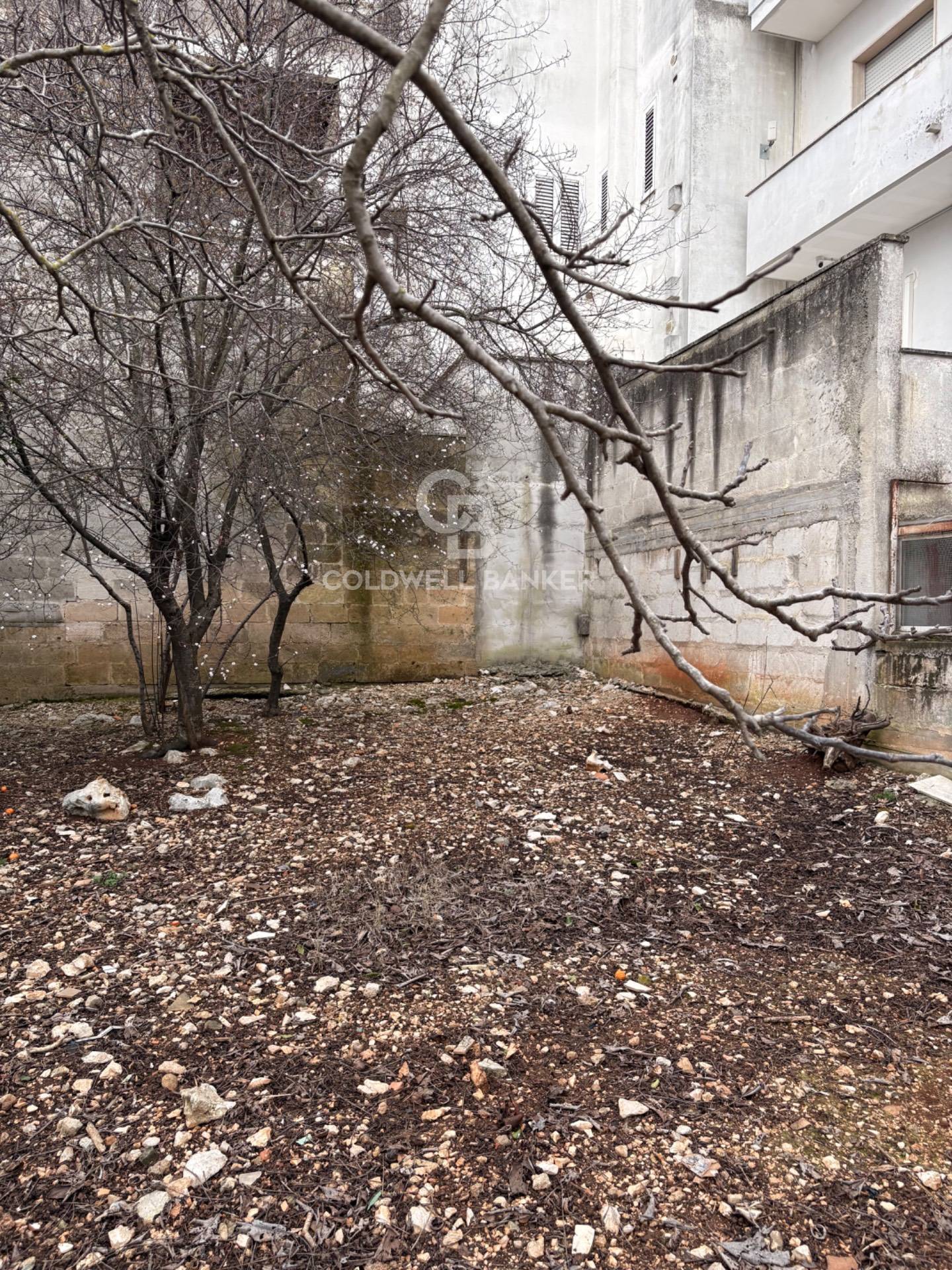 Terreno Edificabile in vendita a Carovigno