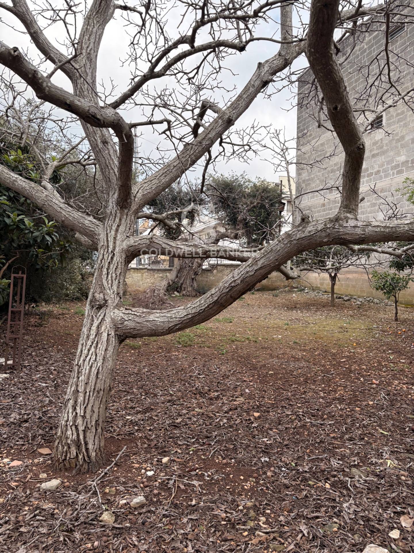 Terreno Edificabile in vendita a Carovigno