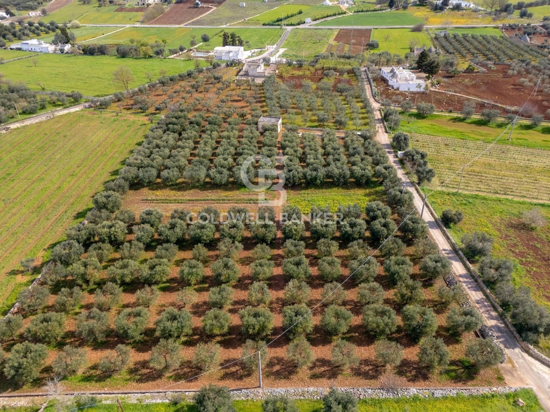 Terreno in vendita a Ostuni