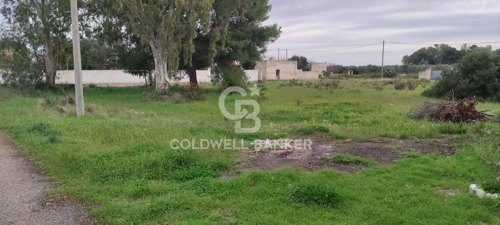 Terreno in vendita a Avetrana