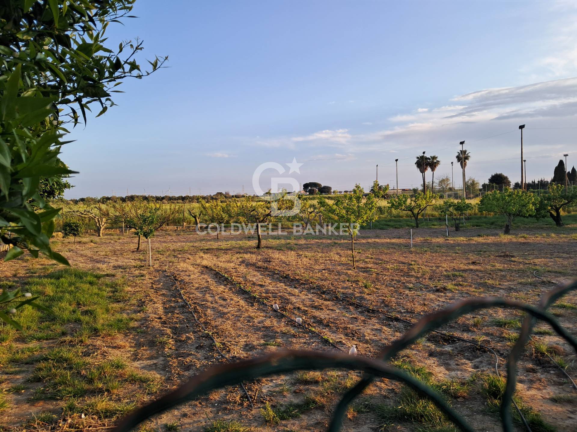 Rustico/Casale/Corte in vendita a Brindisi, Bozzano