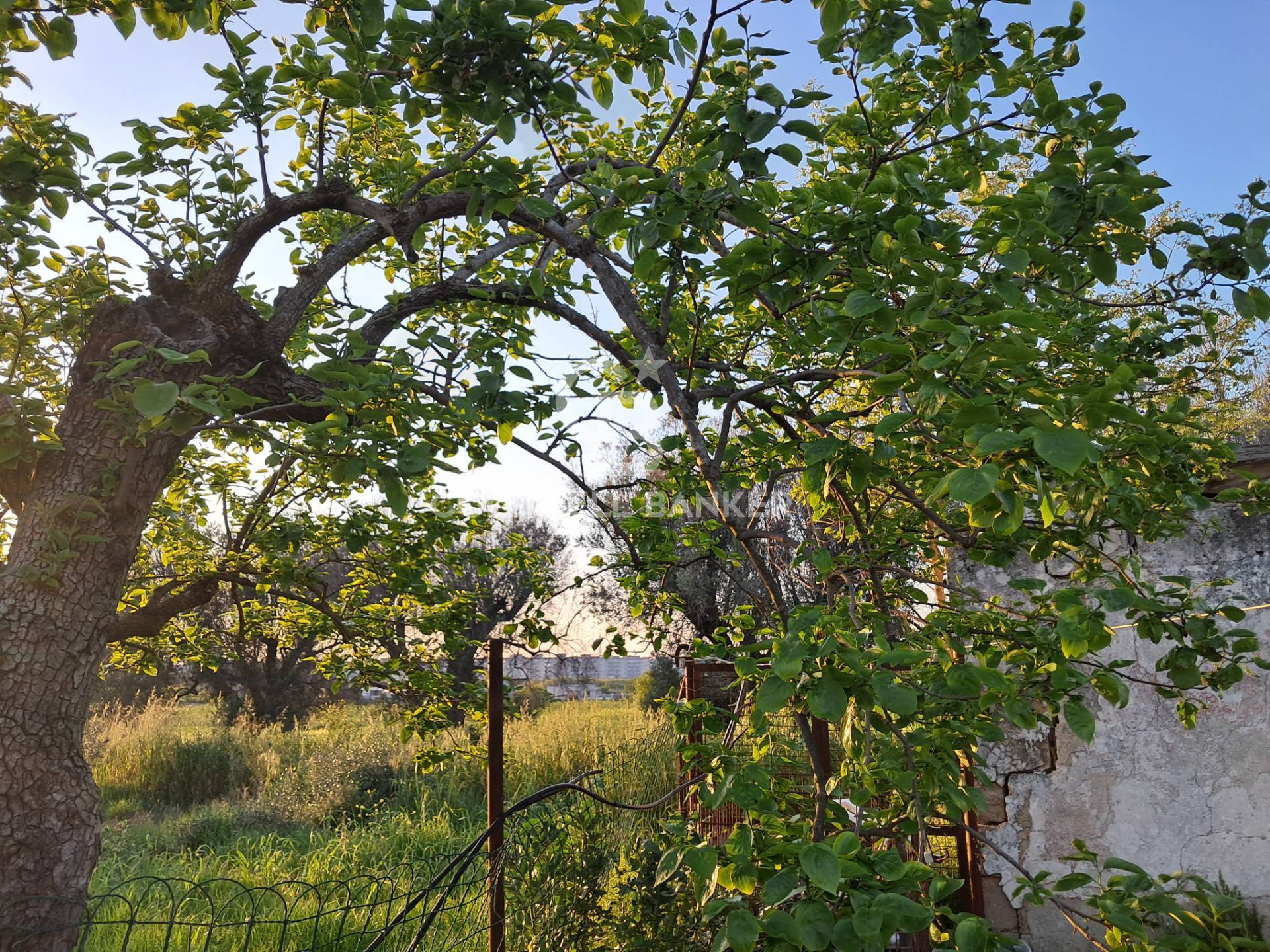 Rustico/Casale/Corte in vendita a Brindisi, Bozzano
