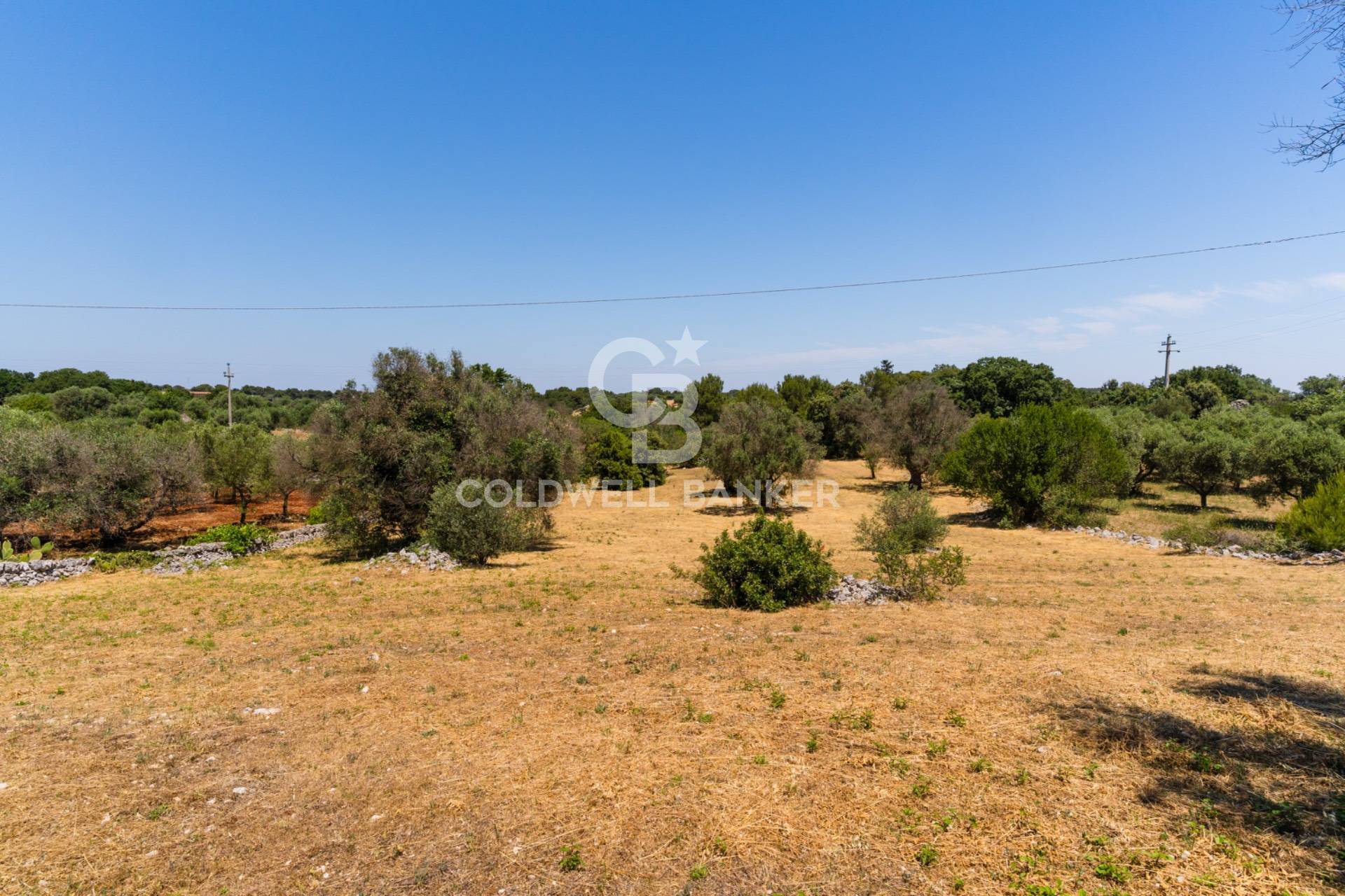 Trullo in vendita a Cisternino