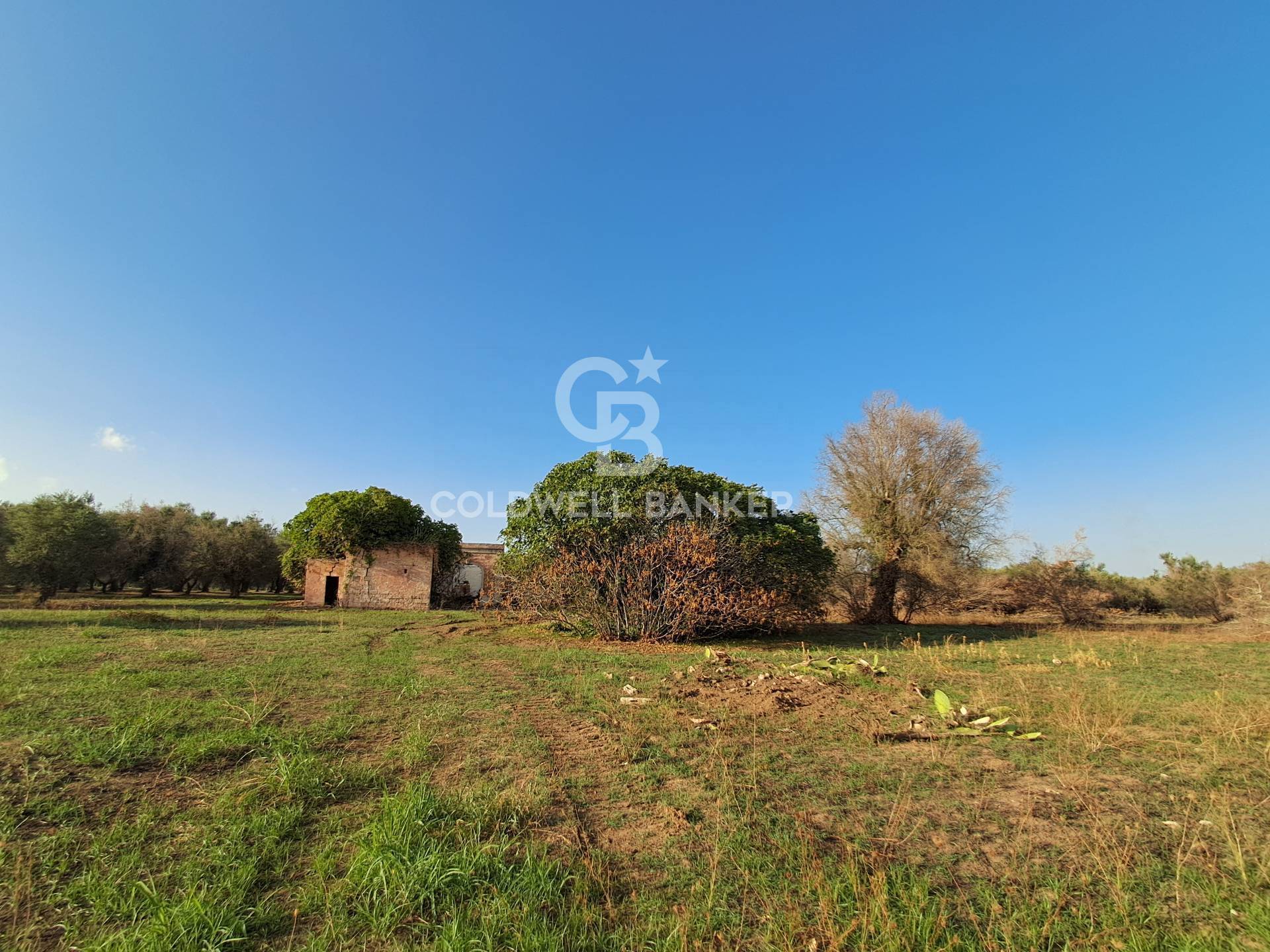 Rustico/Casale/Corte in vendita a Mesagne