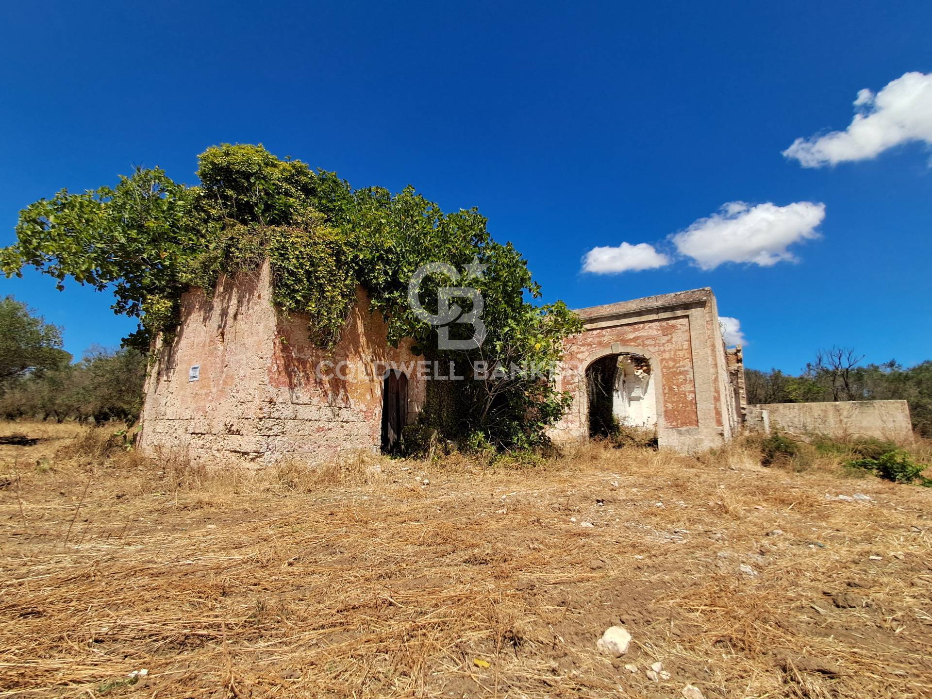 Rustico/Casale/Corte in vendita a Mesagne