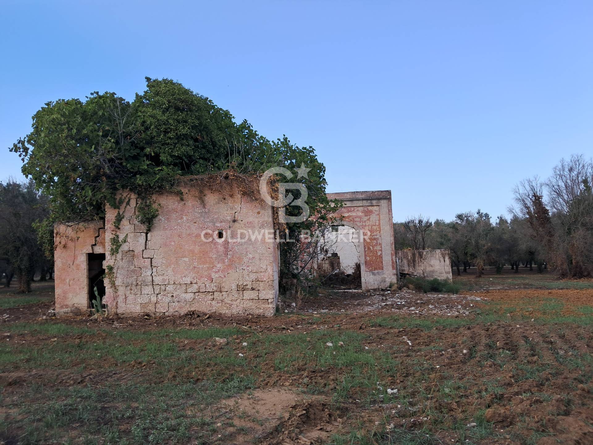 Rustico/Casale/Corte in vendita a Mesagne