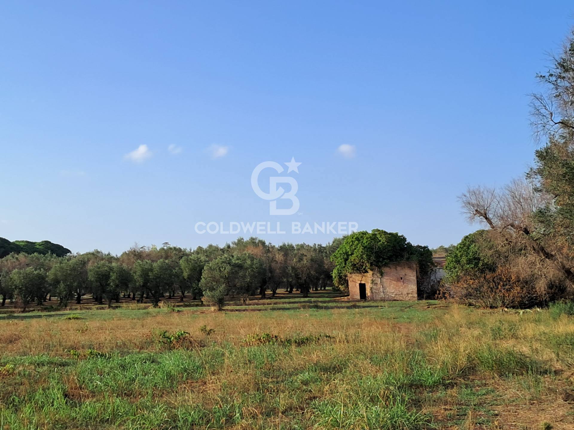 Rustico/Casale/Corte in vendita a Mesagne