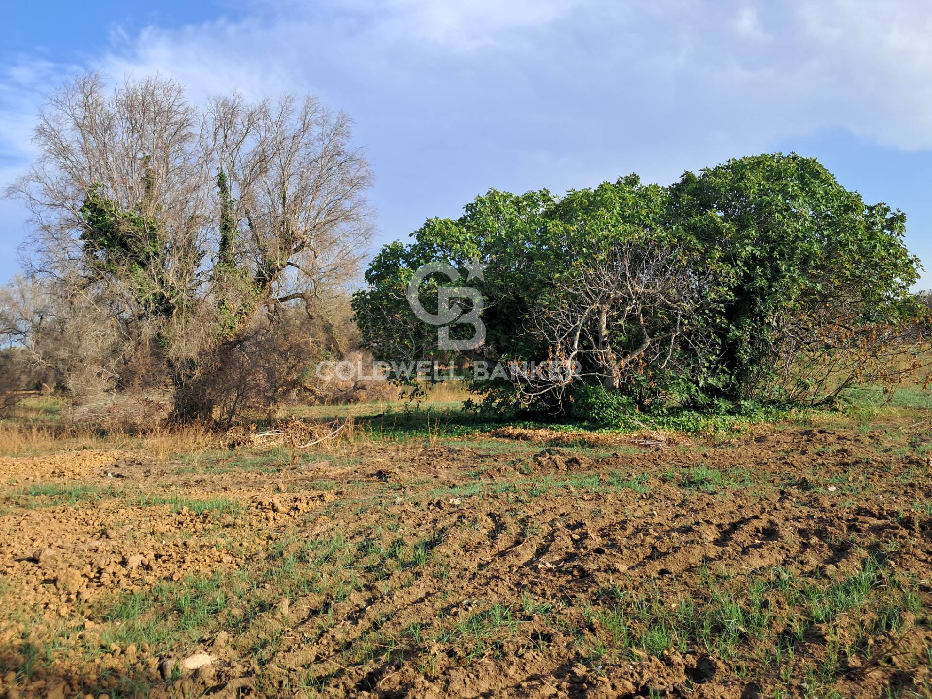 Rustico/Casale/Corte in vendita a Mesagne