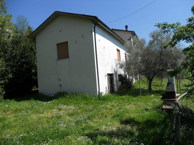 Rustico con giardino, Barga castelvecchio pascoli