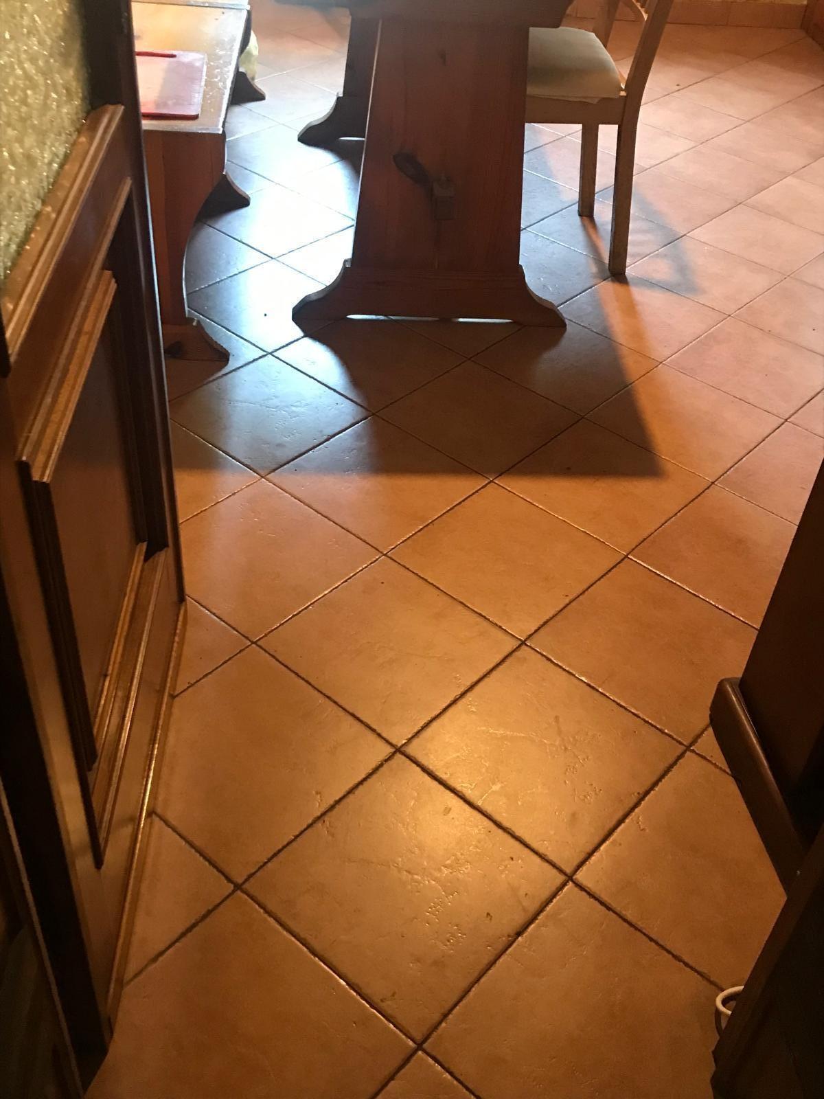 Casa indipendente con giardino, Viareggio centro