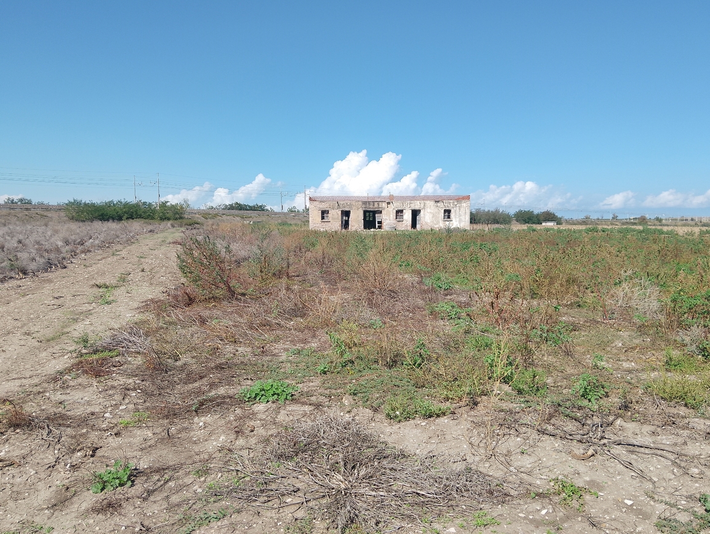 Terreno Agricolo in vendita a Lesina