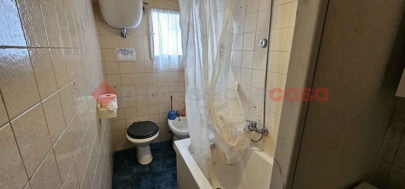 Appartamento in affitto a Siena